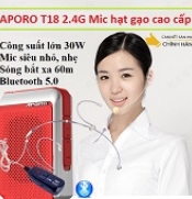 Máy trợ giảng Aporo T18 2.4G Bluetooth 5.0 micro hạt gạo không dây